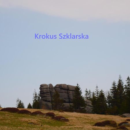 Apartament Krokus Szklarska Szklarska Poręba Eksteriør billede