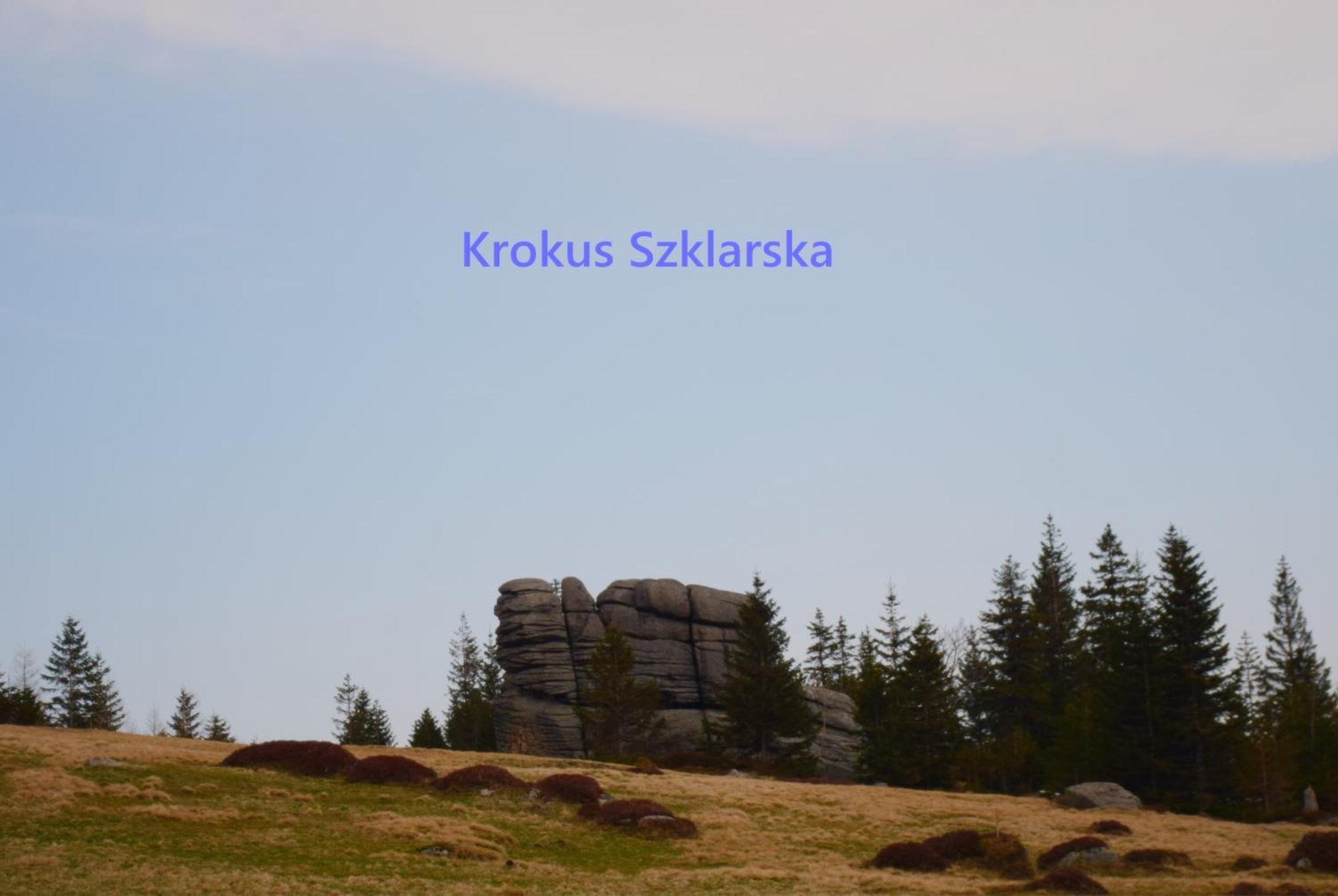 Apartament Krokus Szklarska Szklarska Poręba Eksteriør billede