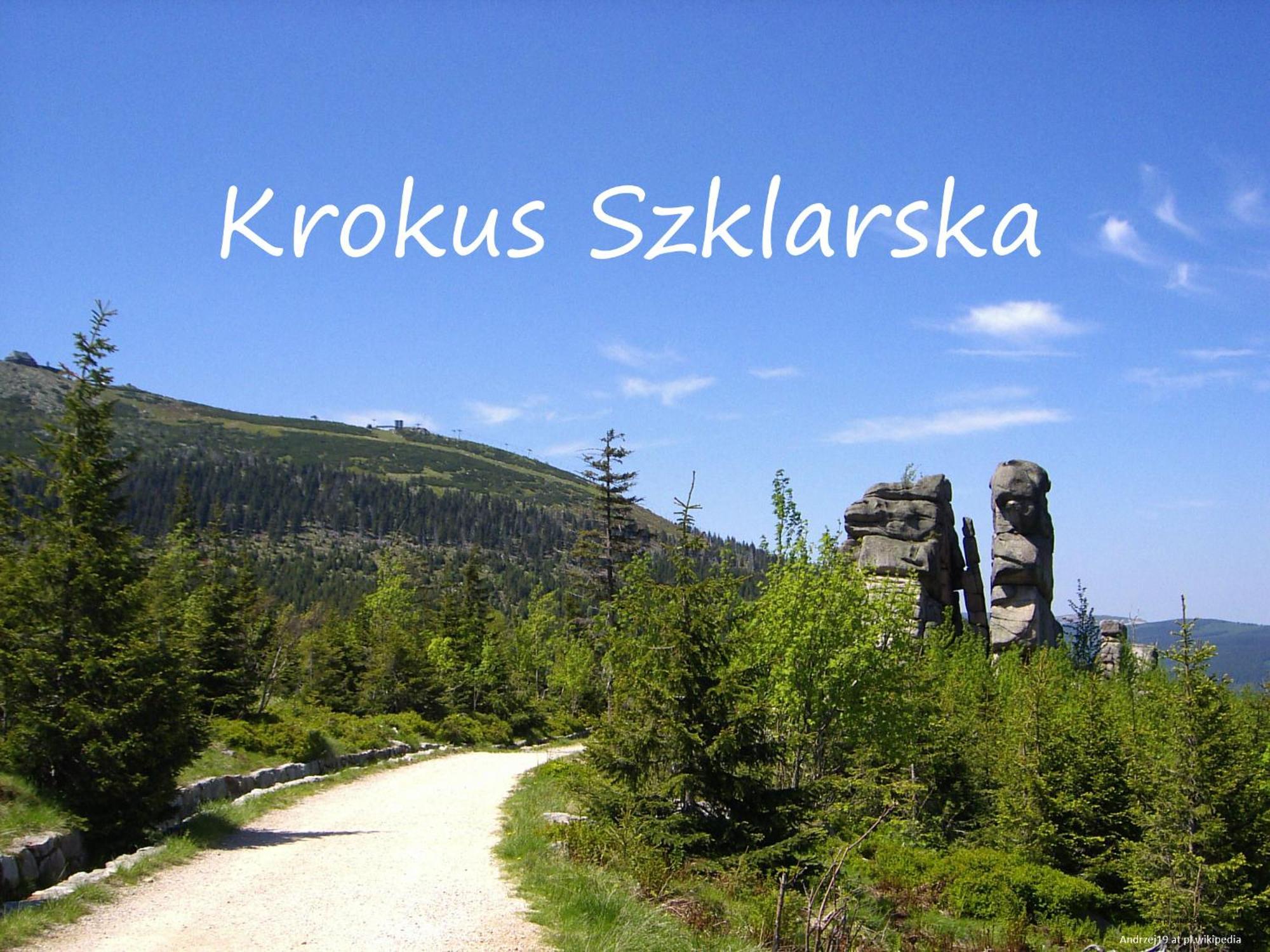 Apartament Krokus Szklarska Szklarska Poręba Eksteriør billede